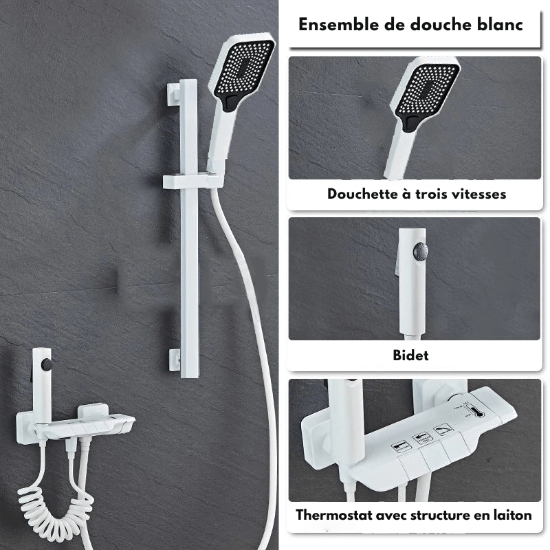 Colonne de Douche Thermostatique Grise LED – Affichage Température Sans Batterie, Hauteur Ajustable & Système de Douche Pluie Pressurisé